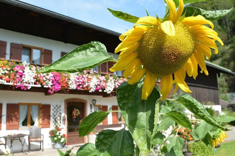 Hotel Haus Jagerer Ramsau bei Berchtesgaden Exteriér fotografie